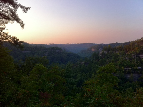 Auxier Ridge, a year after the fire